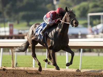 The November opener at Keeneland was dominated by Midnight ... Image 1